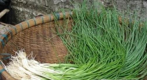 非转基因食品有哪些