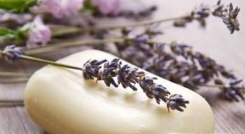 被花蚊子咬了怎么办