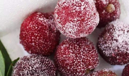 杨梅怎样保存时间长又新鲜