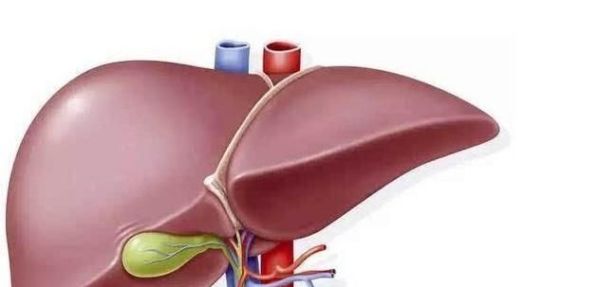 吃什么可以治疗虚火旺？