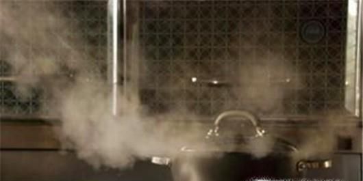 夏季如何健康安全使用电蚊拍？