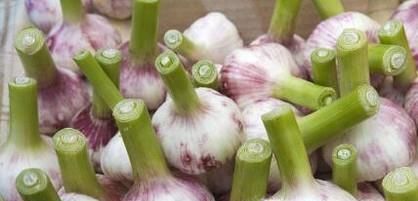 怎样去疣子有效