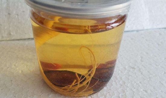 人参鹿茸枸杞泡酒比例