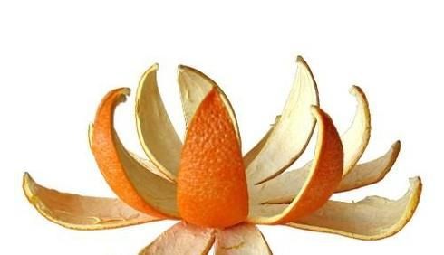 除冰箱异味的技巧