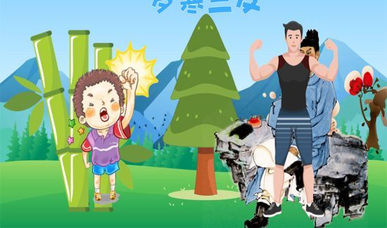 竹子实际是什么