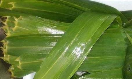 端午节包粽子的方法与步骤