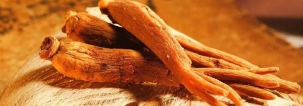 西洋参和蜂蜜一起泡水喝可以吗