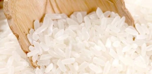 转基因让人不育！教你如何识别转基因!