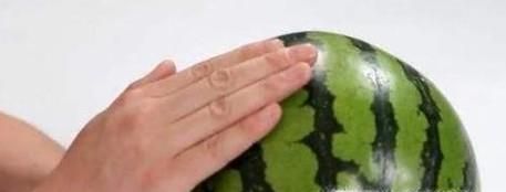 夏季巧选有籽和无籽西瓜的方法