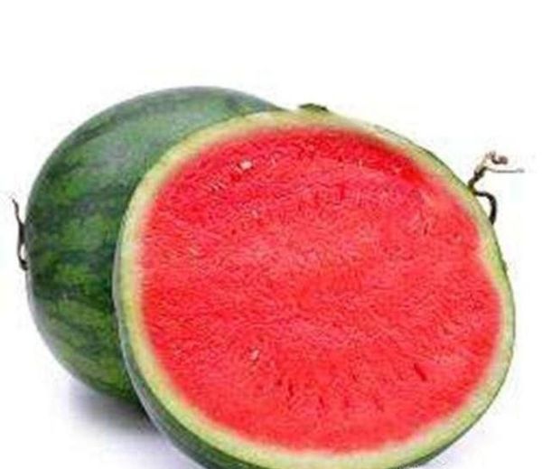 夏季巧选有籽和无籽西瓜的方法