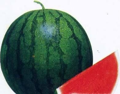 夏季巧选有籽和无籽西瓜的方法