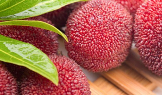 杨梅为什么不能多吃