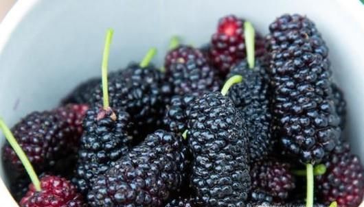 生活中如何有效预防肺癌？