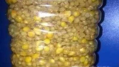玉米怎么发酵钓鱼