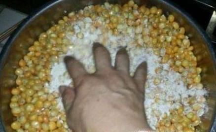 玉米怎么发酵钓鱼