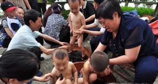 端午艾叶的妙用