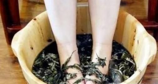 端午艾叶的妙用