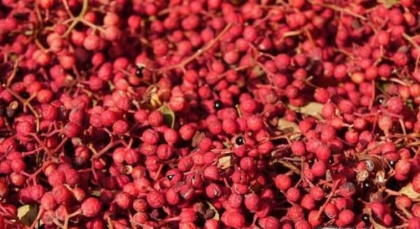 花椒和胡椒的区别