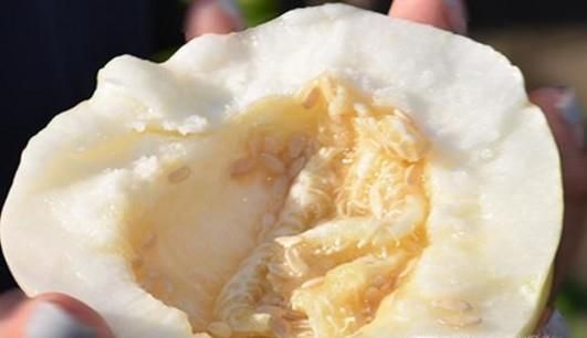 怎样辨别增甜剂香瓜？如何挑选健康好香瓜？