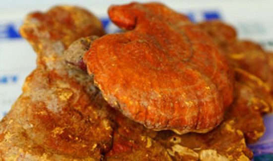 干灵芝保质期多久