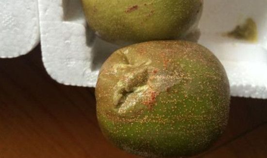 猕猴桃软了还能吃吗