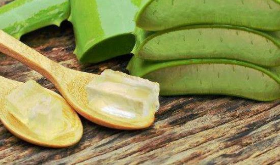 芦荟生吃的功效和作用
