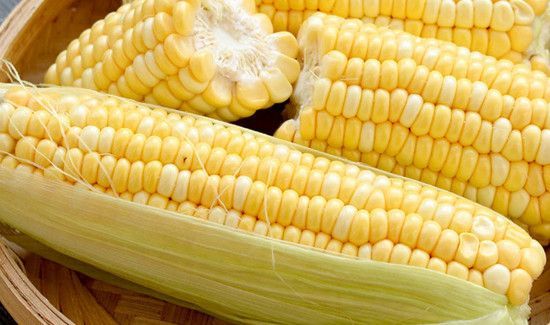 新鲜玉米常温下可以放多久