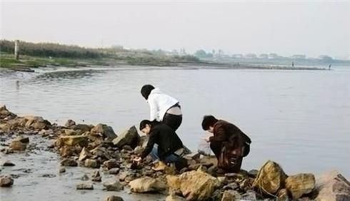 如何在海边捉螃蟹