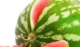 西瓜的好坏怎么看？
