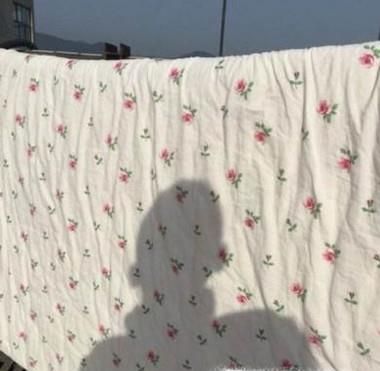 怎样去除家里的蟑螂？