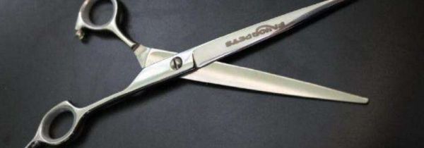 剪刀可以带上火车吗