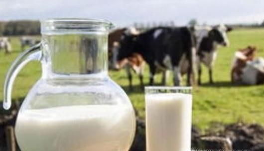 夏季如何预防病毒性出血热？