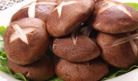 香菇有什么营养和功效