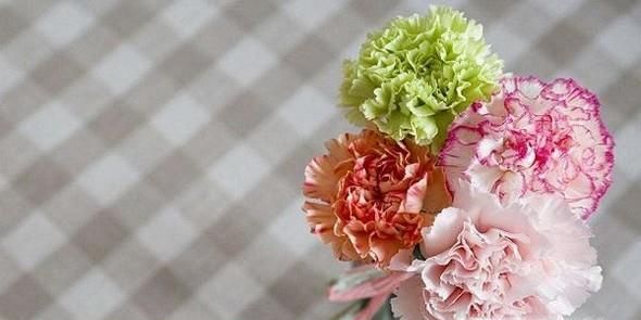 怎样针对不同的场合送对合适的花？