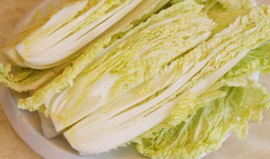 白菜和娃娃菜一样吗