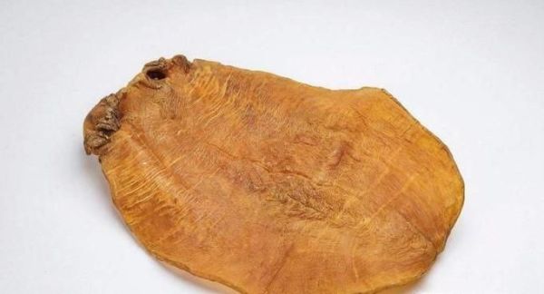 鱼胶品种怎么分的？