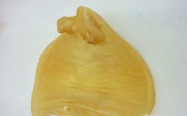 鱼胶品种怎么分的？