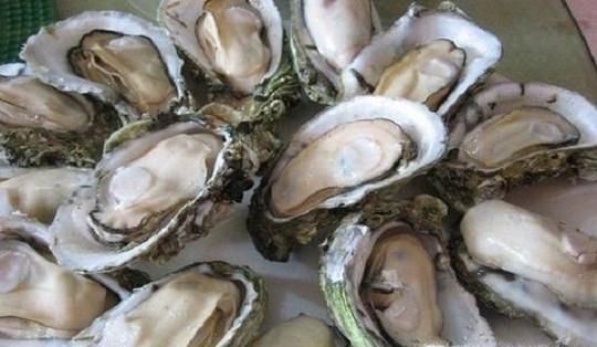 含锌的食物有哪些