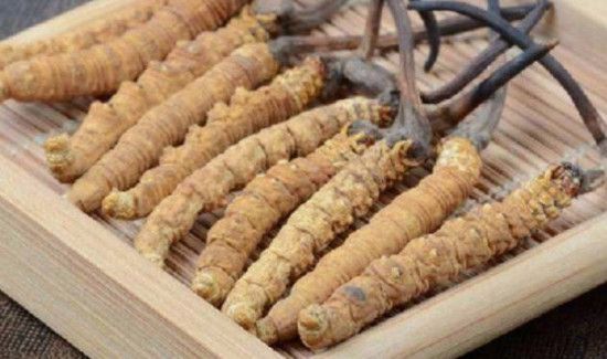 冬虫夏草可以放冰箱冷冻吗