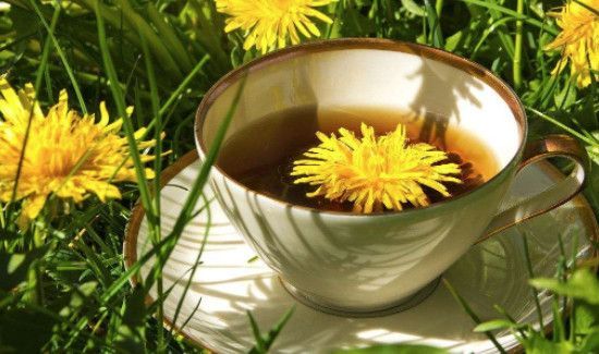 蒲公英可以和红枣一起泡水喝吗