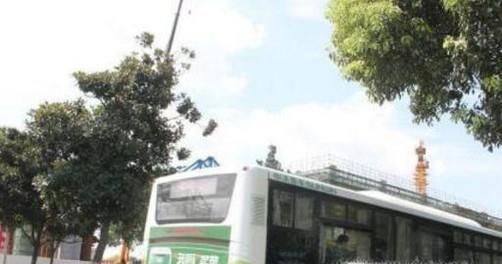 租房子要注意哪些问题