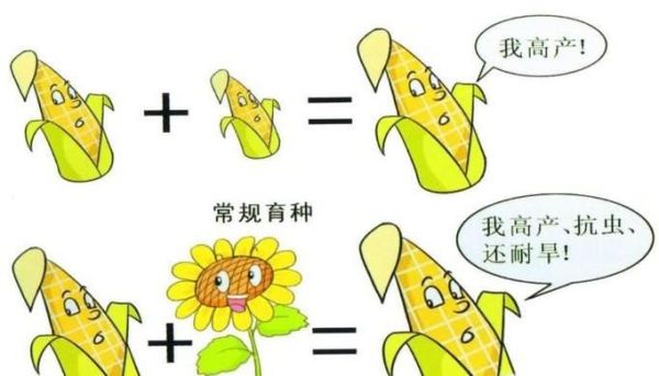 转基因食品能吃吗？