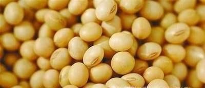 转基因食品能吃吗？