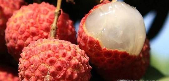 吃荔枝要当心“被酒驾”——吃荔枝注意事项