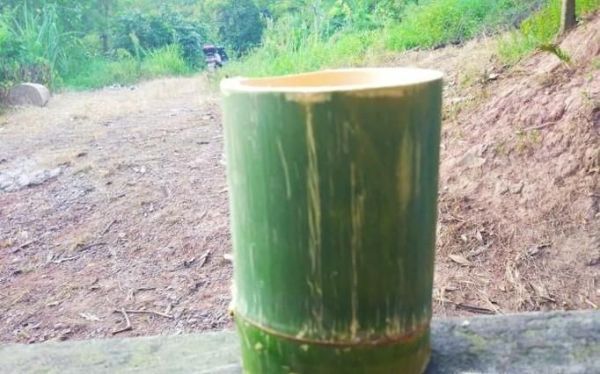 DIY可爱情侣花盆