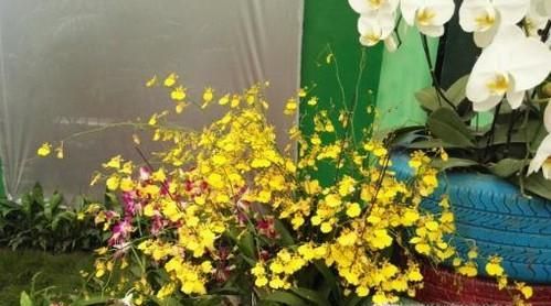 端午节送礼除了送粽子还送什么？