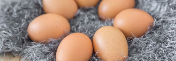 常温下鸡蛋能放多久不会坏