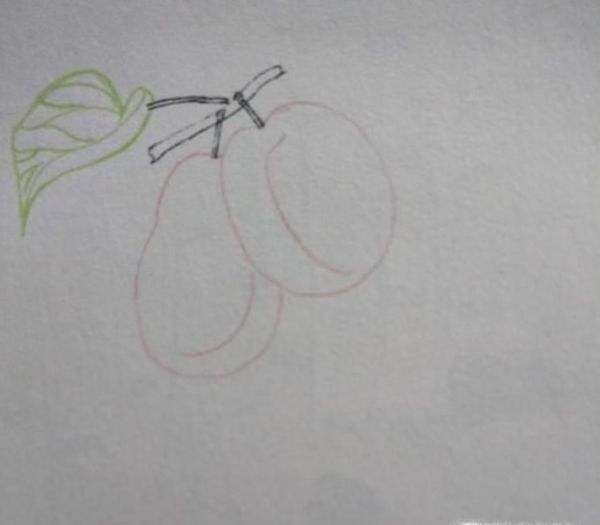 彩铅画李子的画法