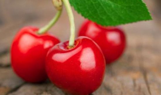 樱桃泡水为什么有虫