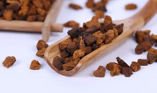 桦树茸泡水隔夜能喝吗
